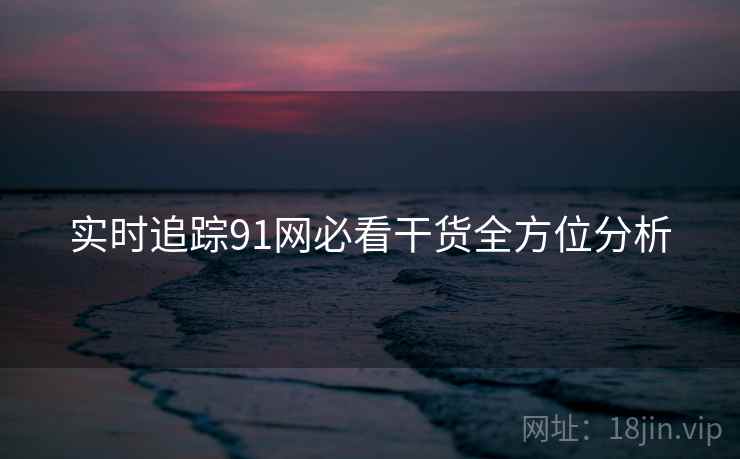 实时追踪91网必看干货全方位分析