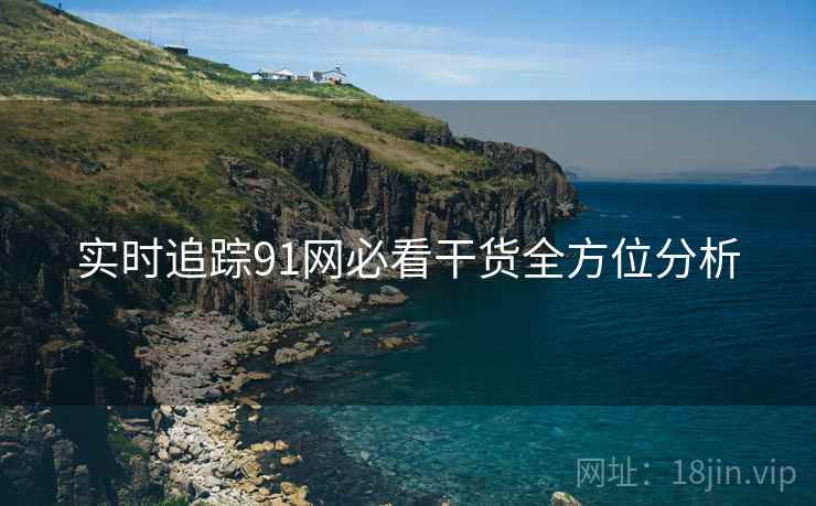 实时追踪91网必看干货全方位分析