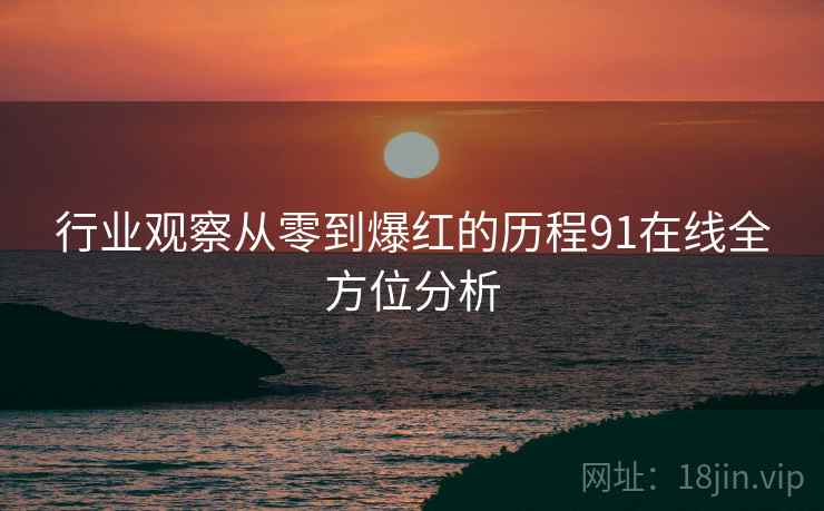 行业观察从零到爆红的历程91在线全方位分析