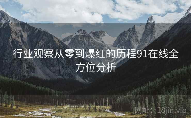 行业观察从零到爆红的历程91在线全方位分析