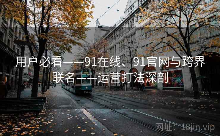 用户必看——91在线、91官网与跨界联名——运营打法深剖