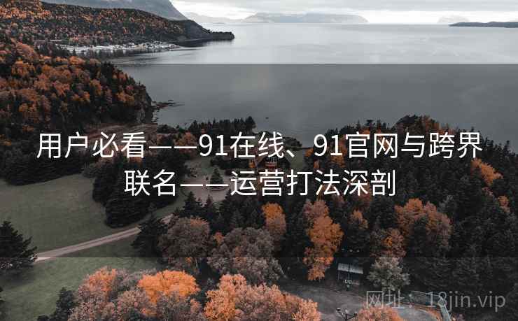 用户必看——91在线、91官网与跨界联名——运营打法深剖