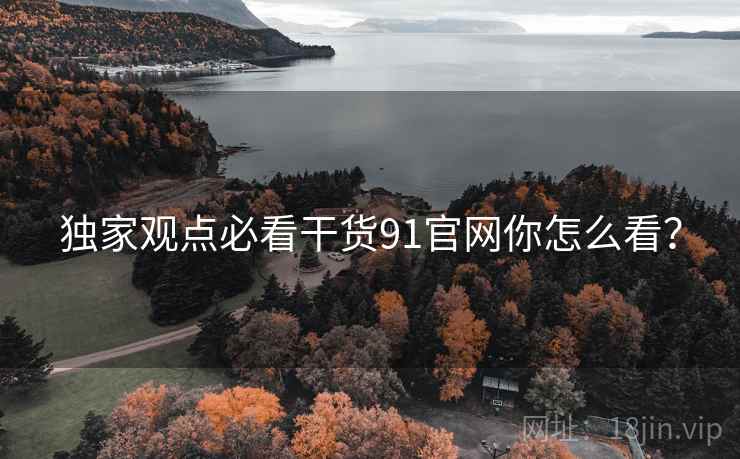 独家观点必看干货91官网你怎么看？