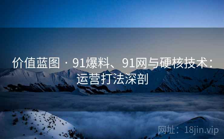 价值蓝图 · 91爆料、91网与硬核技术：运营打法深剖