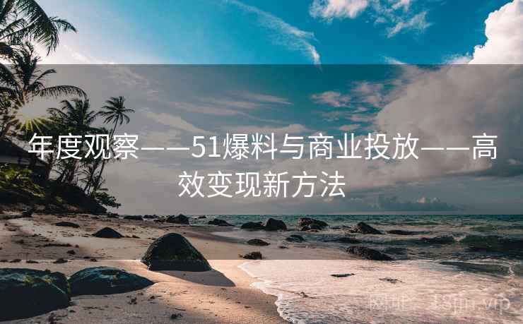 年度观察——51爆料与商业投放——高效变现新方法