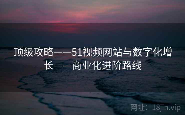 顶级攻略——51视频网站与数字化增长——商业化进阶路线