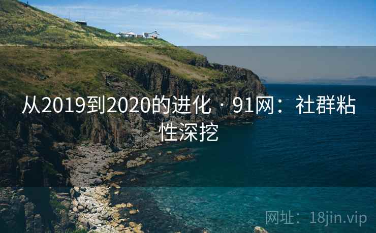 从2019到2020的进化 · 91网：社群粘性深挖