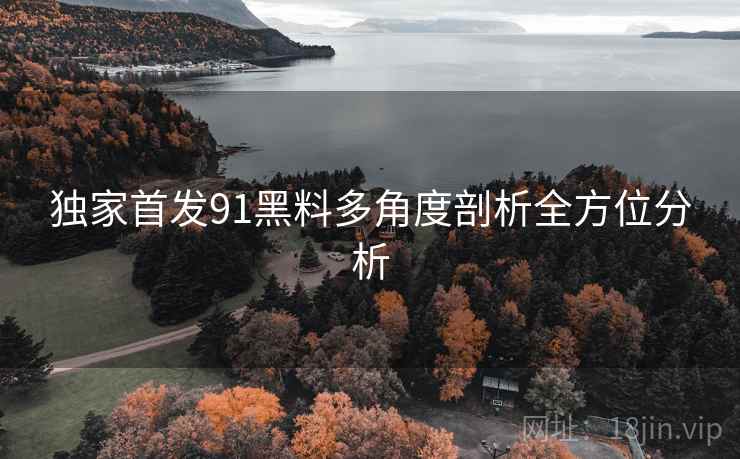 独家首发91黑料多角度剖析全方位分析