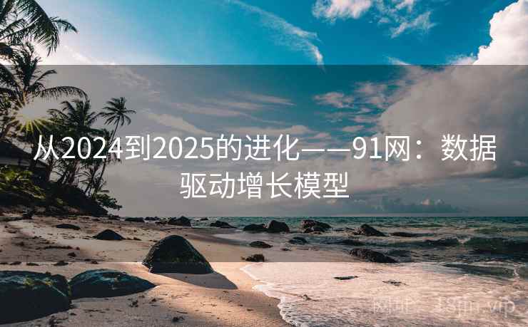 从2024到2025的进化——91网：数据驱动增长模型