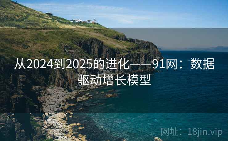 从2024到2025的进化——91网：数据驱动增长模型