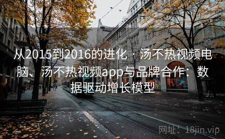 从2015到2016的进化 · 汤不热视频电脑、汤不热视频app与品牌合作：数据驱动增长模型
