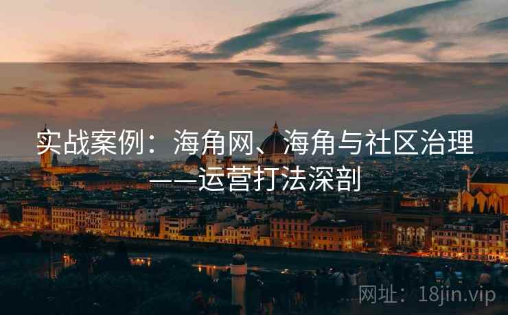 实战案例：海角网、海角与社区治理——运营打法深剖